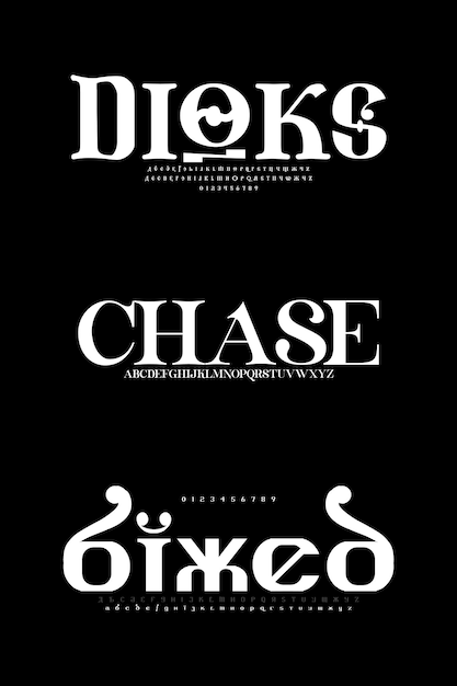 Conjunto de lujo Creative Vector Serif Display Alfabeto fuentes paquete de diseño Ilustración vectorial