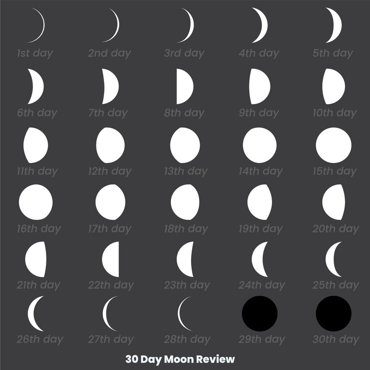 Vector conjunto de luna de 30 días un fondo negro con la fecha del mes y la revisión de la luna