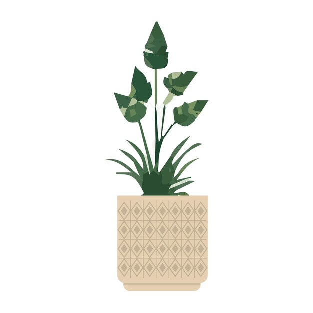 conjunto de macetas de plata con plantas de flores negras