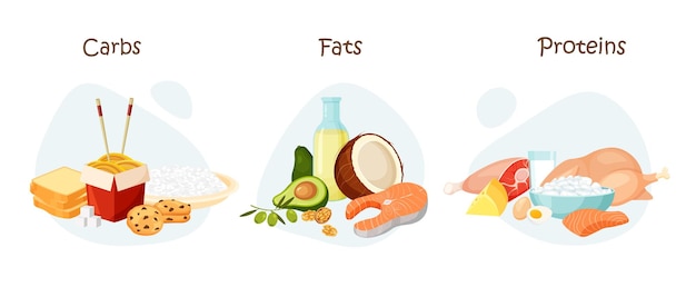 Conjunto de macronutrientes saludables proteínas grasas y carbohidratos en un alimento dieta compleja de nutrientes