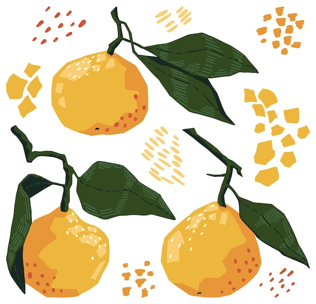 Conjunto de mandarinas en estilo geométrico moderno. ilustración de vector de frutas cítricas con hojas. artes de clip de colores brillantes aislados en blanco. elementos de diseño contemporáneo.