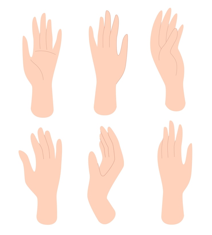 Vector conjunto de manos femeninas con diferentes gestos partes del cuerpo humano cuidado del cuerpo belleza femenina