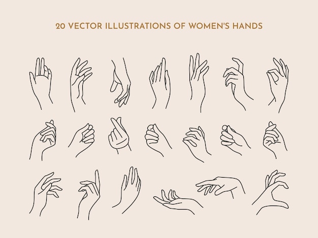 Vector un conjunto de manos de mujeres de iconos en un moderno estilo lineal minimalista. ilustración de vector de manos femeninas con varios gestos