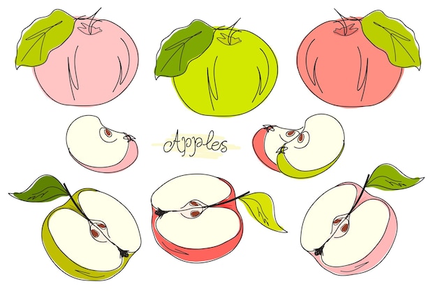 Conjunto de manzanas cortadas enteras dibujadas a mano sobre fondo blanco Bosquejo minimalista Frutas aisladas Doodle Bl