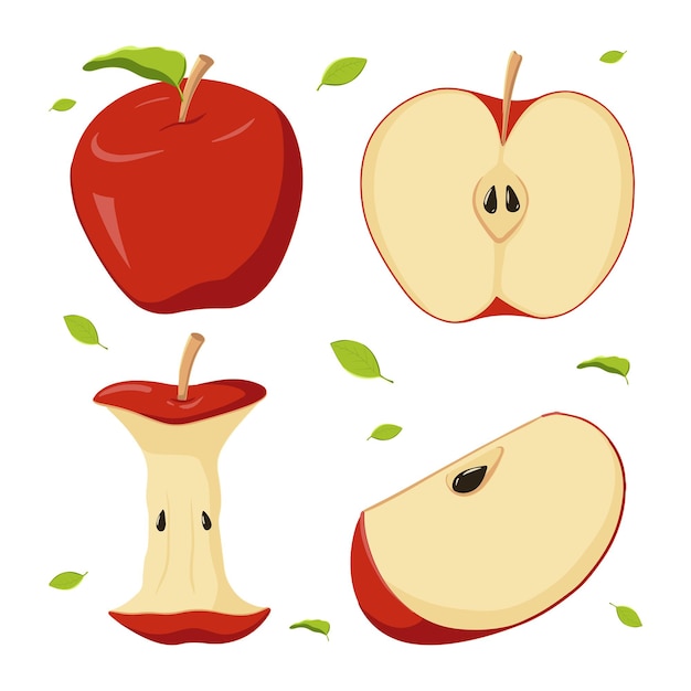 Vector un conjunto de manzanas rojas en diferentes posiciones. una fruta entera, una mitad, un núcleo. ilustración vectorial