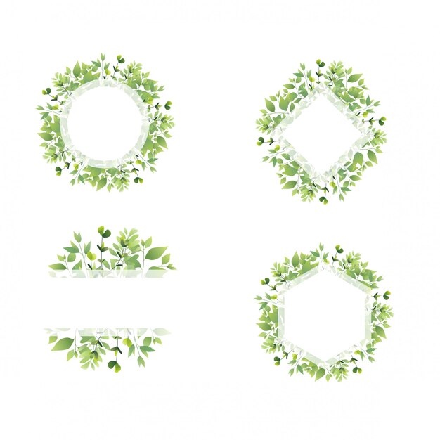 conjunto de marco de hoja verde