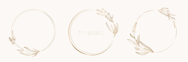Conjunto de marcos de círculo dorado botánico con hojas y flores de borde de línea redonda dibujadas a mano para bodas