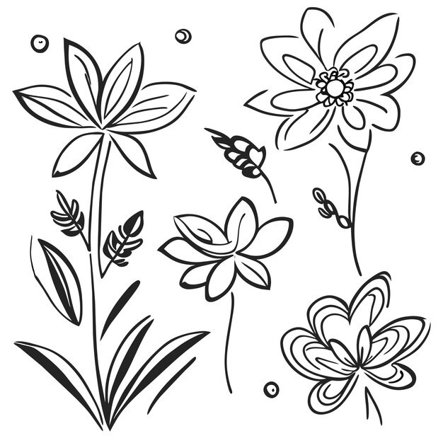 Conjunto de marcos elegantes con hojas o elementos de decoración floral dibujados a mano