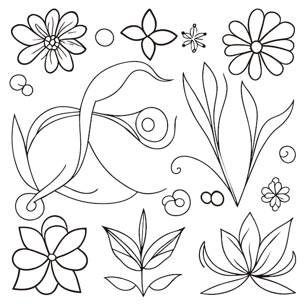 Vector conjunto de marcos elegantes con hojas o elementos de decoración floral dibujados a mano