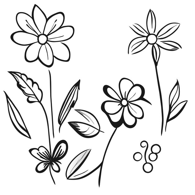 Vector conjunto de marcos elegantes con hojas o elementos de decoración floral dibujados a mano