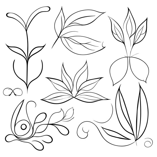 Vector conjunto de marcos elegantes con hojas o elementos de decoración floral dibujados a mano