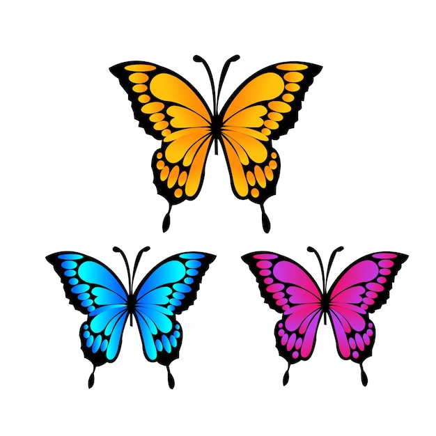 Conjunto mariposa