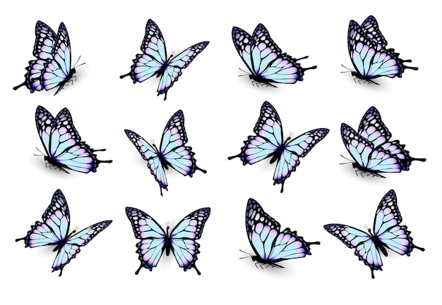 Conjunto de mariposas azules, volando en diferentes direcciones. Vector.