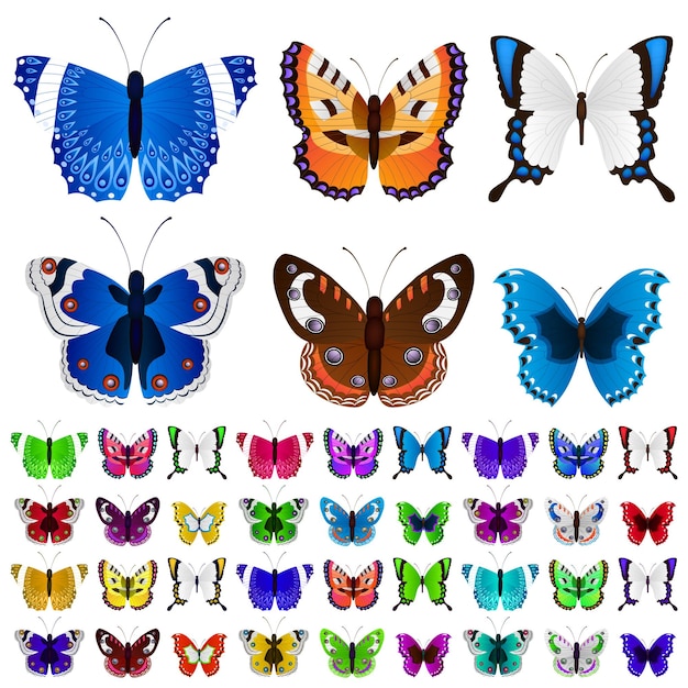 Vector conjunto de mariposas coloridas