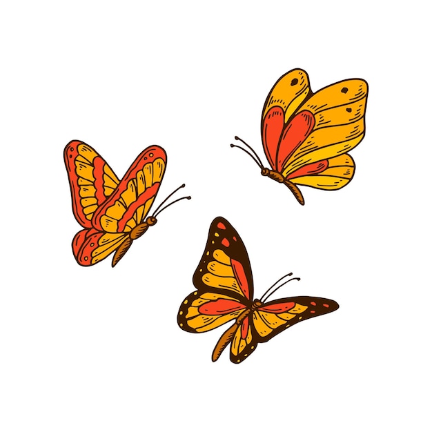 Conjunto de mariposas naranjas coloridas dibujadas a mano ilustración vectorial