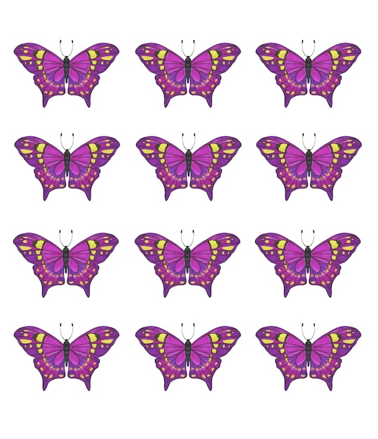 Conjunto de mariposas púrpuras tropicales para imprimir