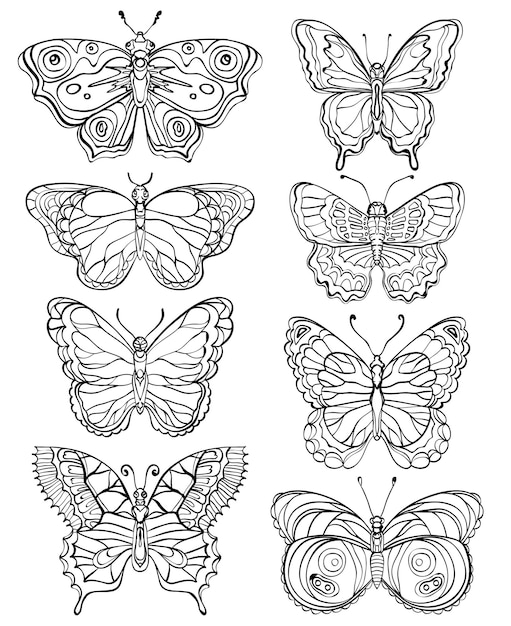 Conjunto de mariposas de varias formas en blanco y negro