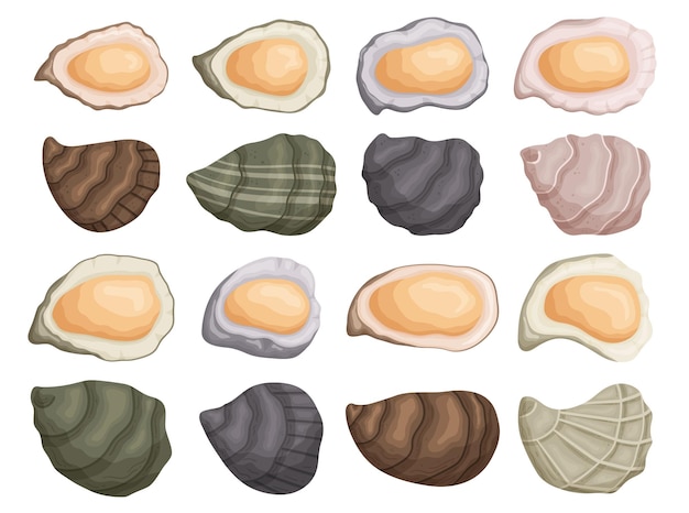 Conjunto de mariscos Las conchas de ostras cerradas y abiertas son conocidas por su sabor salado y textura suave Restaurante de comida de lujo Iconos de mariscos aislados en fondo blanco Ilustración vectorial de dibujos animados