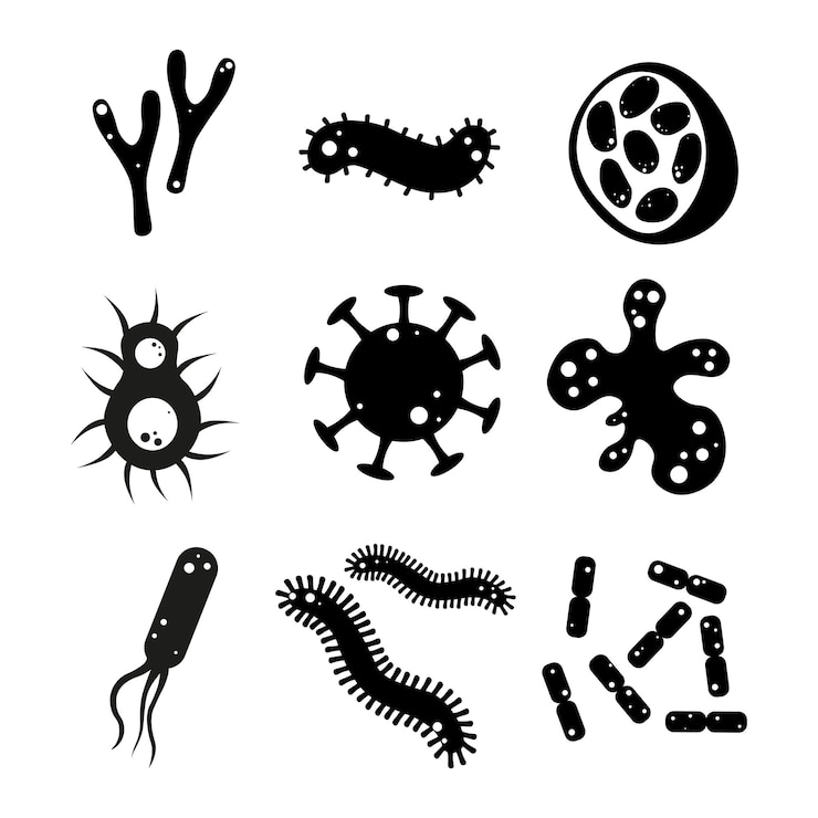 Vector conjunto de microbios de diferentes formas y tipos en fondo blanco ilustración vectorial de íconos bacterias gérmenes y virus en estilo de dibujos animados