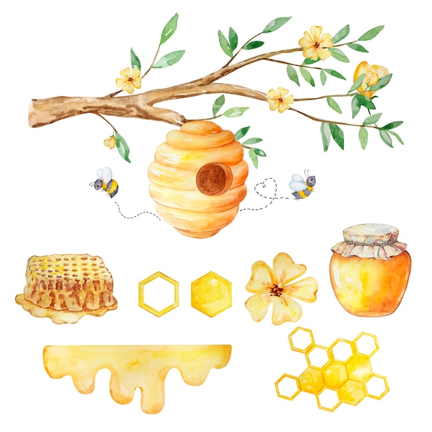 Vector conjunto de miel de acuarela panales de colmena miel y abejas