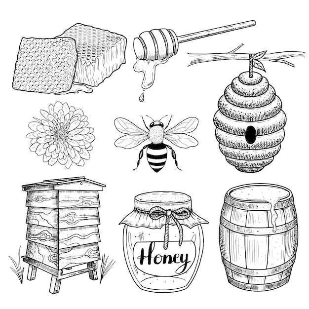 Conjunto de miel con colmenas panales de miel abejas de miel Ilustración vectorial