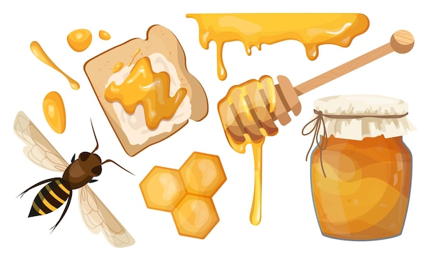Conjunto de miel palo con panal de abeja y frasco de vidrio con miel postre natural y orgánico y delicadeza comida dulce fresca colección de vectores planos
