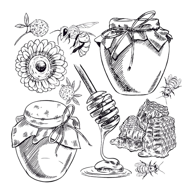conjunto de miel. tarros de miel, abejas, panal. ilustración dibujada a mano
