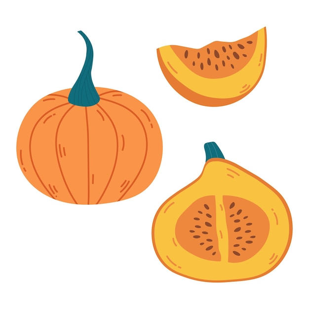 Conjunto de mitad entera y rebanada de calabaza naranja madura con semillas Conjunto de vector de calabaza de dibujo a mano