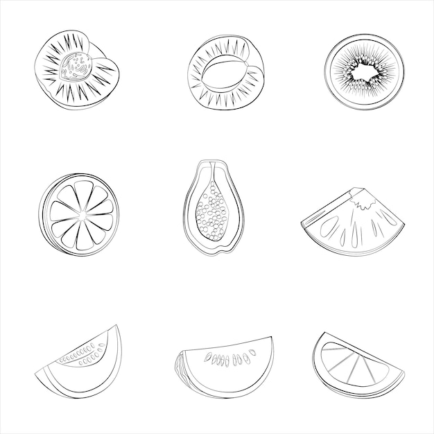 Vector un conjunto de mitades de frutas vectoriales de una línea delgada.