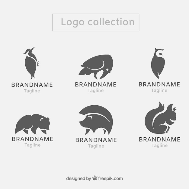 Conjunto moderno de logos de animales