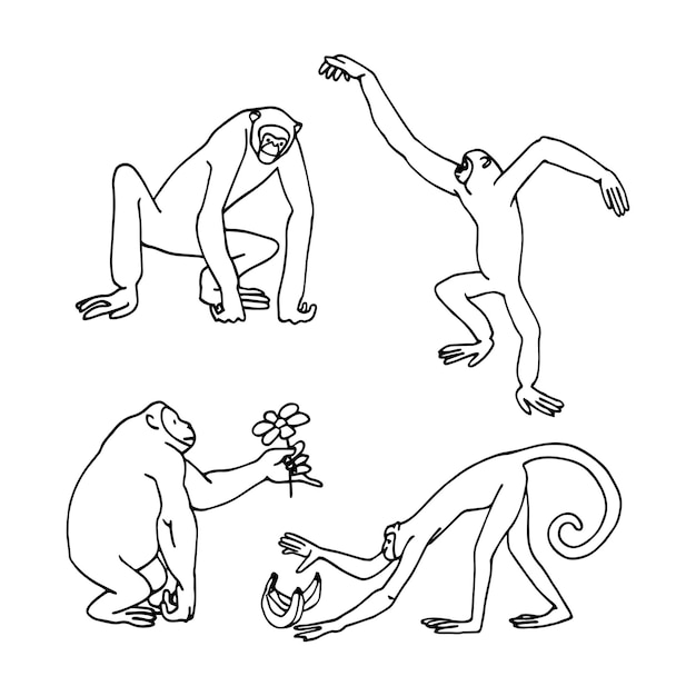 Un conjunto de monos divertidos Gibbons y macacos En tinta negra