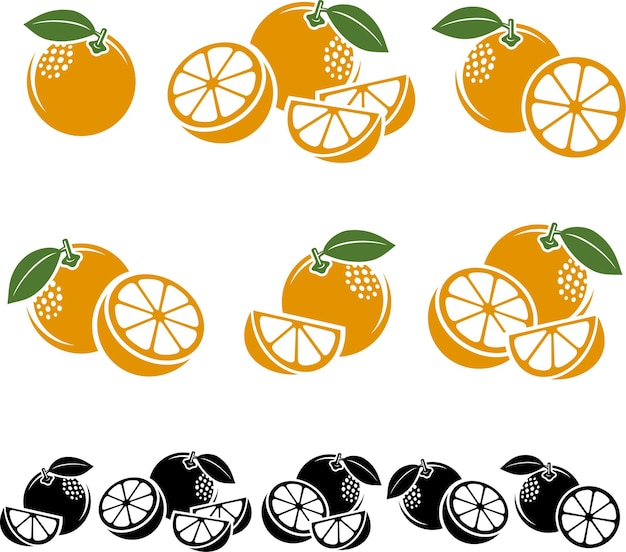 Conjunto de naranjas Vector