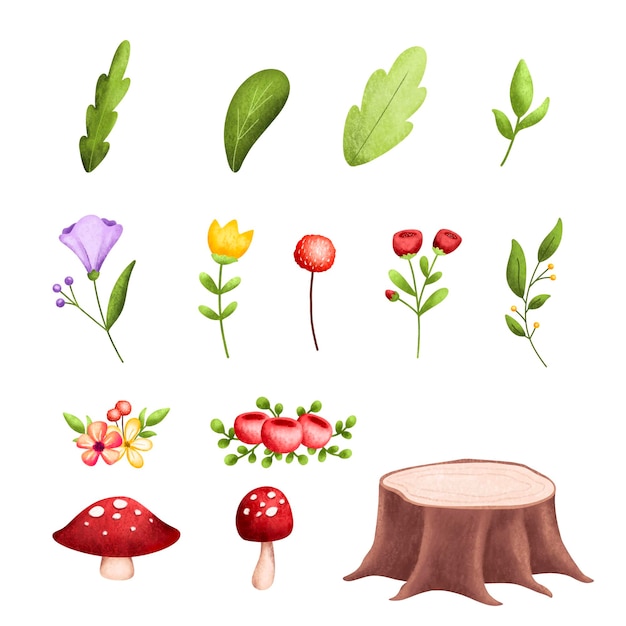 conjunto, de, naturaleza, hojas, y, flores, ilustración