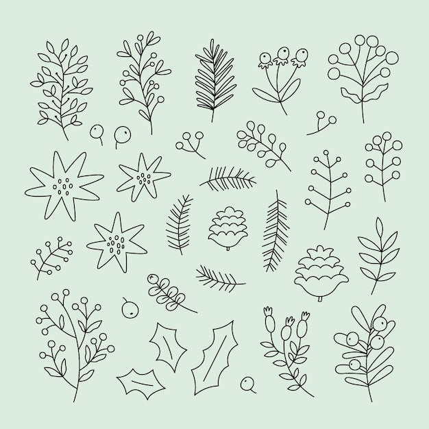 conjunto, de, navidad, botánico, garabatos, vector, colección, de, flores, ramitas, hojas, bayas, conos de pino
