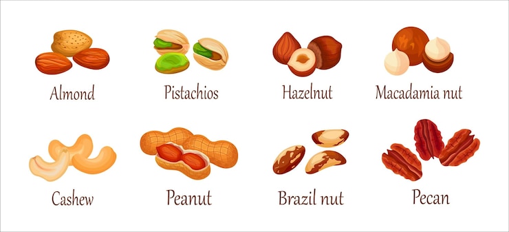 Vector conjunto de nueces frescas y sabrosas sobre fondo blanco vector almendra pistachos avellana macadamia nuez anacardo maní nuez brasileña y nuez pecan al estilo de dibujos animados