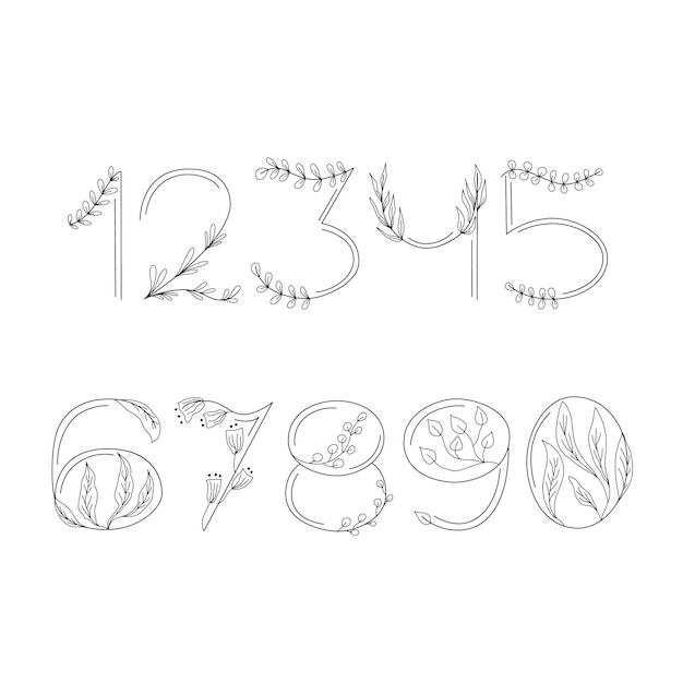 Conjunto de números con detalles florales Ilustración vectorial