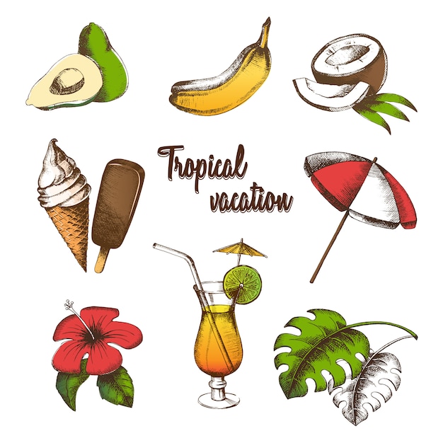 Conjunto de objetos para unas vacaciones tropicales. Fruta de verano, cóctel, helado, flor tropical, hoja de palma, sombrilla pintada en estilo gráfico. Dibujo a mano alzada multicolor.