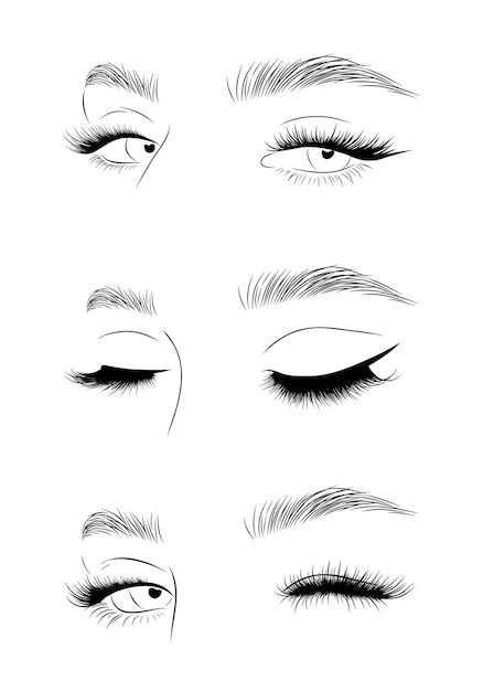 Vector conjunto de ojos de mujer realista pestañas y cejas femeninas