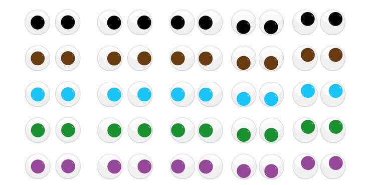Vector conjunto de ojos saltones ojos de plástico para juguetes y manualidades ojos divertidos cinco colores diferentes