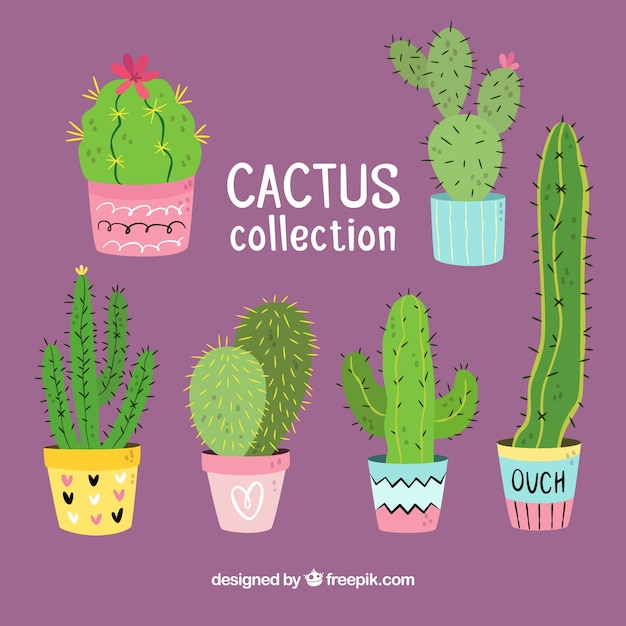 Conjunto original de cactus a mano