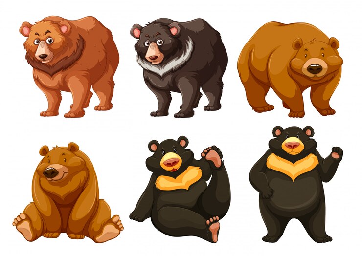 Vector conjunto de osos lindos