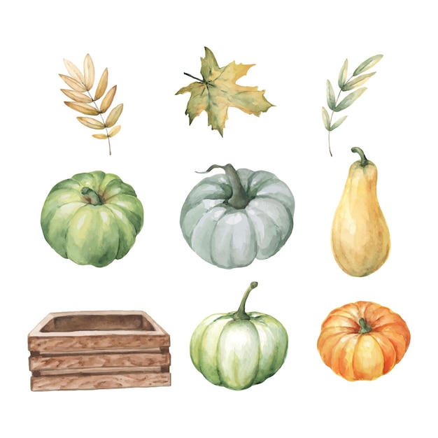 Vector conjunto de otoño de acuarela de calabazas y hojas dibujadas a mano