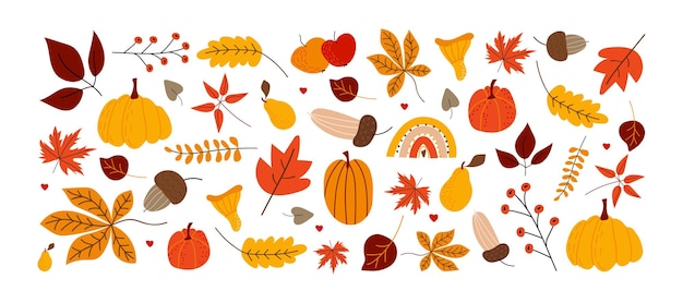 Vector conjunto de otoño dibujado a mano elementos de otoño de vector banner para vacaciones de temporada día de acción de gracias