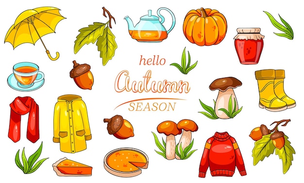 Conjunto de otoño. Gran colección de artículos de otoño. Calabaza, té, impermeable, bufanda, botas, setas, bellotas en estilo de dibujos animados. Ilustración de vector de diseño y decoración.
