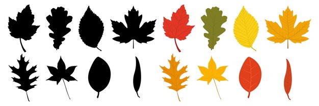 conjunto, de, otoño, hoja, silueteado, y, coloreado