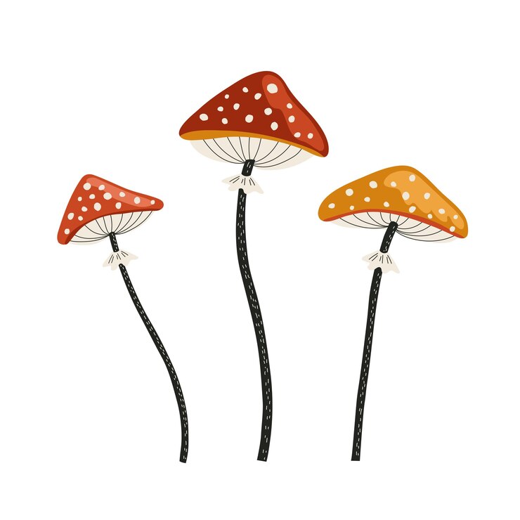 Vector conjunto de otoño de set vectorial de hongos agaricos de mosca en estilo plano