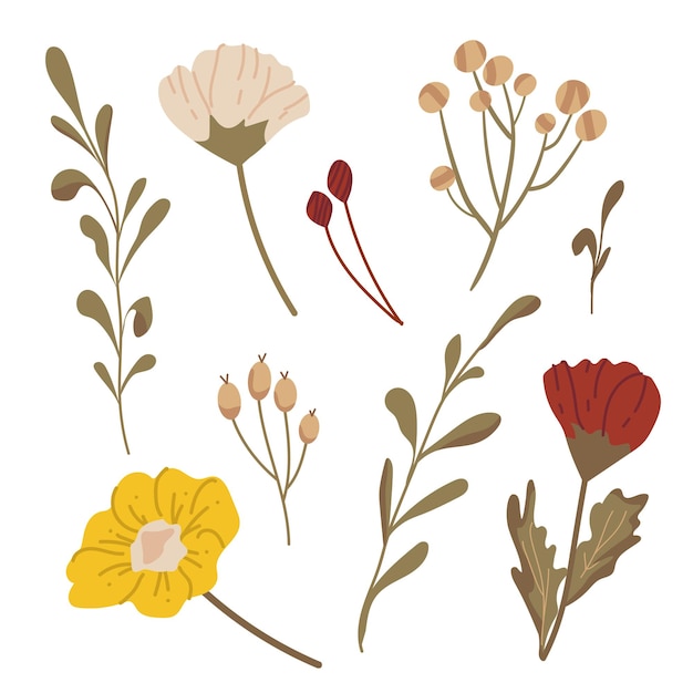 Conjunto de otoño de varias ramas con hojas y flores Conjunto De elementos botánicos decorativos vectoriales