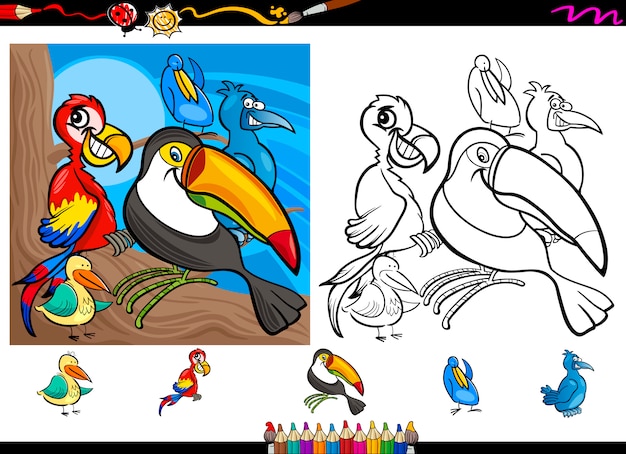 Conjunto de página de dibujos animados de aves exóticas