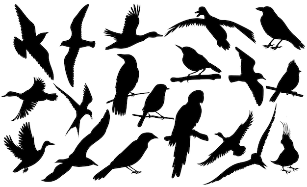 conjunto, de, pájaro, negro, silueta, aislado, vector