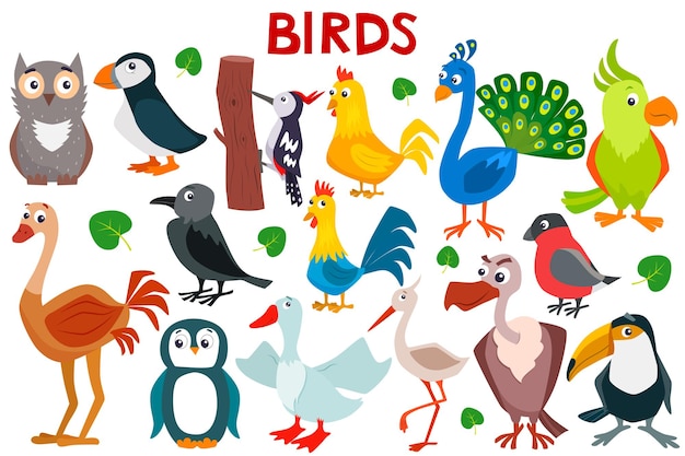 Conjunto de pájaros de dibujos animados lindo